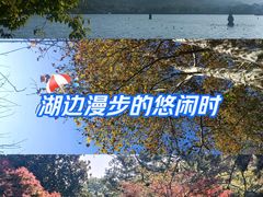 -西湖游船