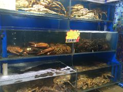 -蚝专家(北滘店)