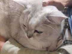 -小时光咖啡馆(开森度假森林店)