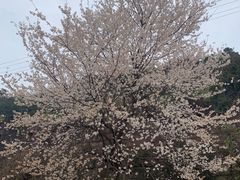 -金堂县云顶石城风景区