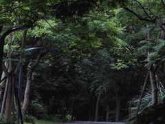 -上海吴淞炮台湾国家湿地公园