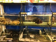 水产区-渔中舟海鲜大排档(普陀沈家门店)