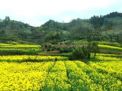 -新安江山水画廊风景区