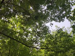 -桤木河湿地公园