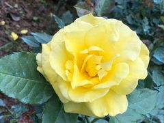 -人民公园(罗湖区)