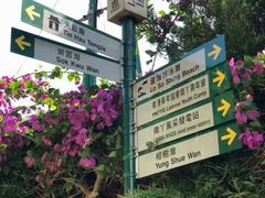 -南丫岛
