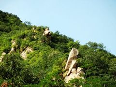-北京鹫峰国家森林公园