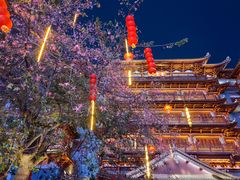 -大佛古寺