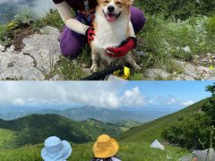 -灵山