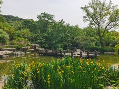 -习家池
