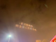 -武汉园博园(武汉自然博物馆)