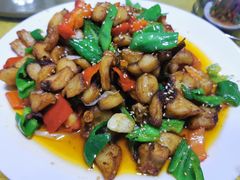 -煲来饱去冷水鱼