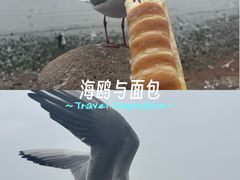 -青岛海滨风景区