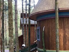 -洛阳白云山景区