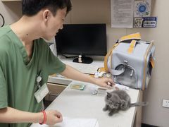 -瑞鹏宠物医院·爱宠堂·骨外专科(西荷分院)