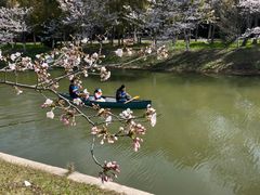 -上海海湾国家森林公园