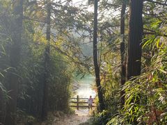 -大罗山风景区