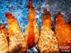 象拔蚌-鲜货俚鲜火锅(青果路店)