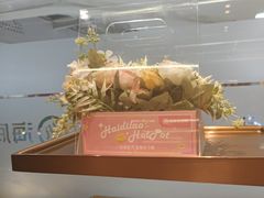 -海底捞火锅(天通苑华联店)