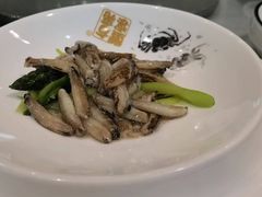 -新光酒家·河豚·海鲜·蟹料理(浦东店)