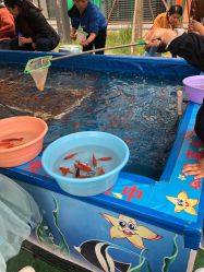 -萌宠亲子动物乐园(槐房万达店)