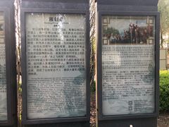 -白洋淀景区