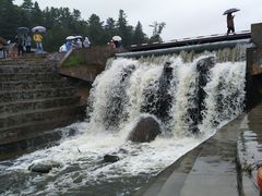 -五营红松林海景区