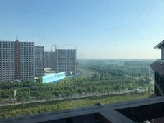 -齐河孔雀王温泉酒店·金孔雀自助百汇