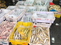 -芦潮港集贸市场