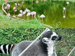 -杭州野生动物世界