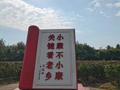-亚龙湾国际玫瑰谷