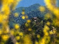 -少华山国家森林公园