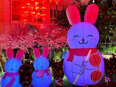 -香港港岛英迪格酒店