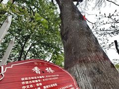 -终南山南五台景区