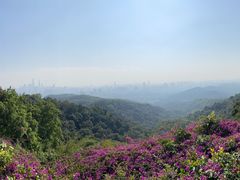 -广州市白云山风景名胜区