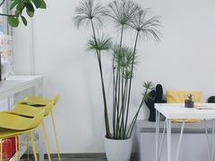 -五进制 Coffee Shop