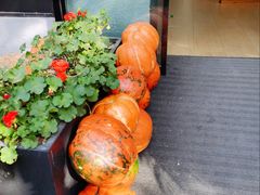 -婕妮璐超市 Jenny Lou’s Shop(三里屯店)