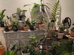 -坦克·甜品店(莲花广场店)