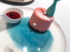 美人鱼芝士-随心小姐