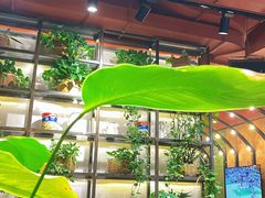 -Q MEX 库迈墨西哥餐吧(双井店)