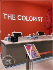 -THE COLORIST调色师