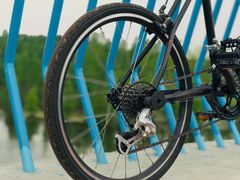 -白鹭湾湿地公园