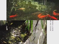 -青青世界