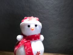 -蜀九香火锅(九眼桥店)