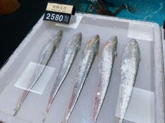 -莆鑫海鲜城(浏河店)