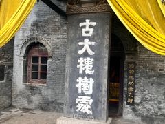 -大槐树寻根祭祖园