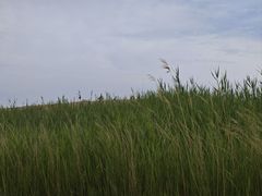 -黄沙古渡原生态旅游区