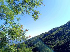 -香山公园