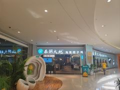 -春润大地海南椰子鸡(沙井京基百纳广场店)
