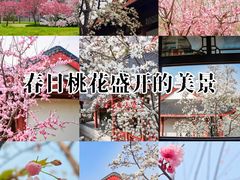 -堤角公园
